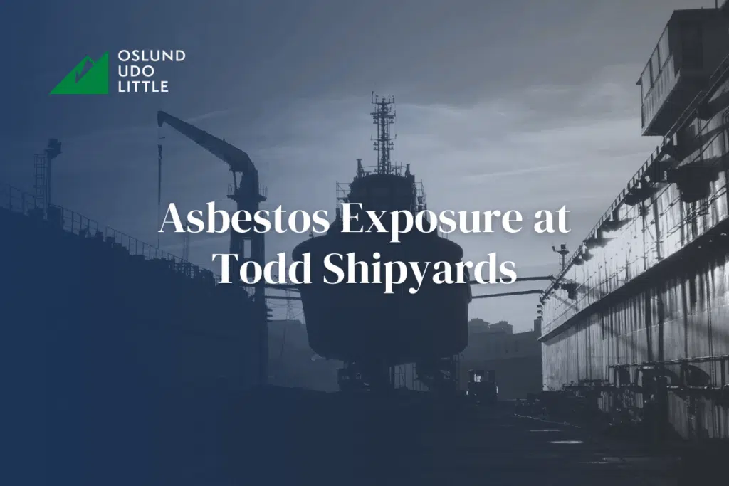 Asbestos Exposure at Todd Shipyards with a ship in the background