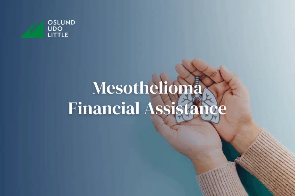 Mesothelioma Financial Assistance with two hands holding an image of a lung