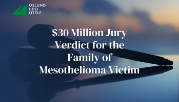 $30 Million Jury Verdict for the Family of Mesothelioma Victim
